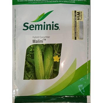 Seminis Hybrid Cucumber Seeds