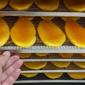 Mango tropical secado suave listo para OEM Etiqueta Privada textura masticable sabor natural larga vida útil - Product Image 1