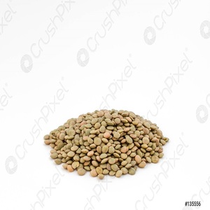 Buy affordable high grade <b>lentil</b> seeds Best prices for premium <b>lentil</b> seeds - Product Image 3