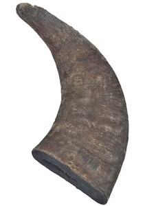 Vente chaude noir corne de buffle naturel long voyage pour chien mâcher bio boeuf goût protéine Nutrition viande sûr couteau poignée - Product Image 4