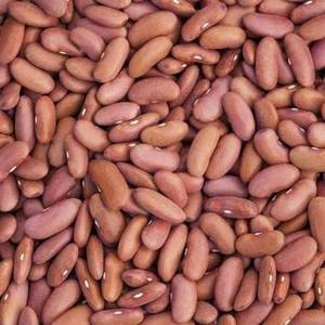 High Quality Premium Export Quality Organic Red Kidney <b>Beans</b> Dried High-protein 100% Natural Bulk Packed Food Grade For Sale - Product Image 5