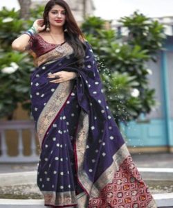 Saree en velours de soie avec chemisier brodé - Product Image 1