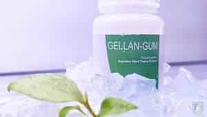 Superior-Grade Gellan Gum High Gel Strength Thickener and Stabilizer for Liquids and Gels - Product Image 4