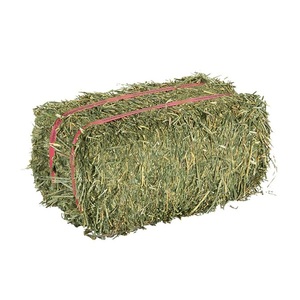 Pellets d'alfalfa et de luzerne bon marché à vendre, foin <span class=keywords><strong>déshydraté</strong></span> de haute qualité pour l'alimentation des volailles et des lapins, vente en gros en vrac, prix d'usine - Product Image 5