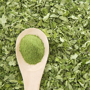 Blue Lotus Farm <span class=keywords><strong>Moringa</strong></span> Leave Té seco Seguro para la salud Extracto de plantas Producto de Venta caliente de Vietnam - Product Image 5