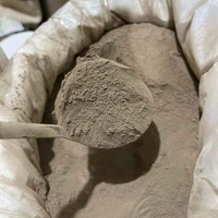 El mejor amigo del té de burbujas: polvo de gelatina negra 25kg-La cobertura que los mantiene volviendo