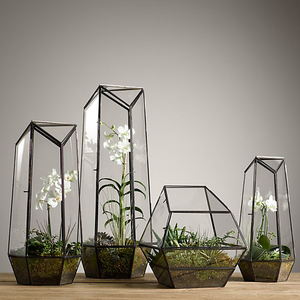 Terrarium en verre géométrique à bulles ouvertes irrégulières de qualité supérieure avec finition noire pour décor de bureau à Base en bois de pin décorer la maison - Product Image 2