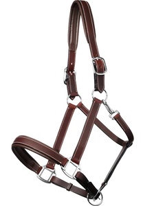 Direct de l'usine Licou rembourré fantaisie-Quincaillerie en nickel laiton licou de cheval réglable fabriqué en Inde avec 100% cuir véritable - Product Image 1