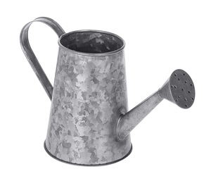 Arrosoir décoratif galvanisé unique, design tendance, arrosoir fait main personnalisé pour l'extérieur, prix le plus bas - Product Image 1