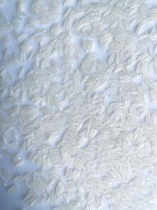 # 1 MILAGROSA Arroz Blanco Orgánico de Grano Corto, Seco y Duro, Grandes Cantidades, Supermercados, Distribuidores - Contacto para Suministro WS - Product Image 3