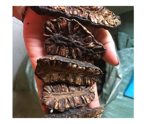 Fruit de noni séché de qualité supérieure du Vietnam Pure Morinda Citrifolia Poudre et tranches de noni séchées de haute qualité pour l'exportation à l'expédition - Product Image 2