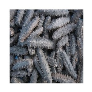Concombre de mer séché - PRODUITS DE LA MER SÉCHÉS ET CONGELÉS Disponibles ici aux meilleurs prix de gros - Product Image 1