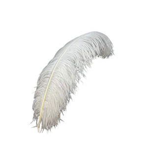 Plumas de Pavo Lavadas en Venta a Precios Bajos, Mejora tus Proyectos con Plumas de Lujo para Manualidades - Product Image 3