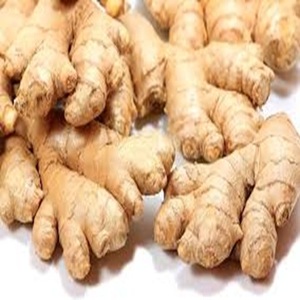 Proveedor de jengibre fresco a la venta a granel, listo para exportar a todo el mundo - Product Image 3