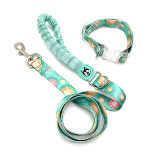 Yyx tùy chỉnh Dây Xích Chó thiết lập Dây buộc dây buộc Chó Đẹp với logo tùy chỉnh - Product Image 5