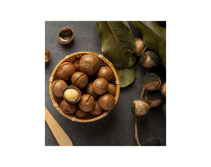 MEJOR TARIFA Suministro del fabricante Calidad Premium Superventas Nueces de Macadamia tostadas agrietadas saludables Bolsa de 300g/500g - Product Image 6