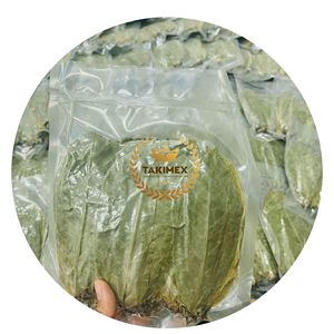 ใบ soursop อินทรีย์/guanabana แห้ง /graviola/annona muricata/guayabano 100gr สมุนไพรถุงสูญญากาศทำในเวียดนาม - Product Image 1