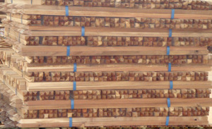Estacas de jardín de madera de acacia hechas en Vietnam 1211 - Product Image 2