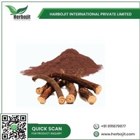 Poudre d'extrait de racine de Manjistha de haute qualité, remède naturel à base de plantes, ingrédient ayurvédique premium, approvisionnement en vrac pour l'exportation, fabriqué en Inde
