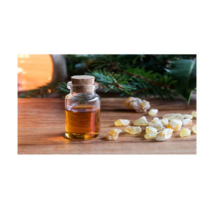 Fournisseur en gros en vrac d'huile essentielle d'encens naturel de qualité supérieure de la meilleure huile essentielle d'encens de qualité supérieure - Product Image 1