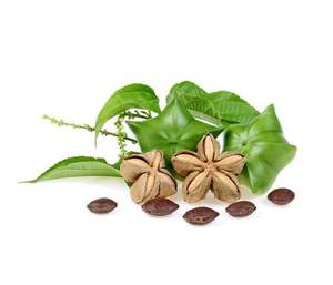 น้ำมันซาจิสำหรับใช้ในการเกษตรเป็นจำนวนมากวัสดุจากเวียดนาม - Product Image 1