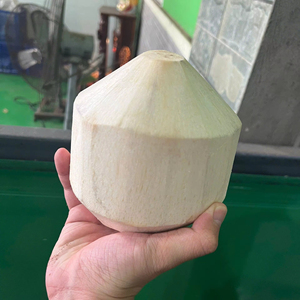 Coco de botón de fácil apertura DE CALIDAD DE EXPORTACIÓN DE Vietnam, agua dulce fresca cultivada naturalmente, envasada para consumidores internacionales - Product Image 1