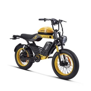 Bicicleta Eléctrica para Adultos HappyRun G100 Pro de 72V/33Ah y 6000W, Último Diseño, con 2 Años de Garantía, Lista para Enviar - Product Image 1