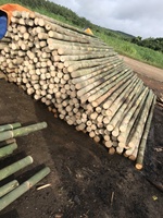 Venta al por mayor de postes de bambú tratados y secos, vallas para exteriores, bastones de bambú grandes, decoraciones de jardín para construcción de bambú nulgar