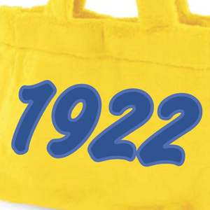 Sigma Gamma Rho SGR borsa Tote in pelliccia di sorellanza oro con lettere ricamate blu reale 1922 borsa in peluche regalo di confraternita greca - Product Image 3