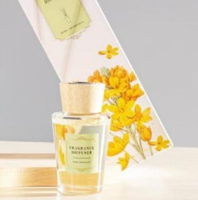 Diffuseur de parfum de luxe 100 ml avec boîte cadeau à imprimé floral élégant pour hôtel, chambre et toilettes
