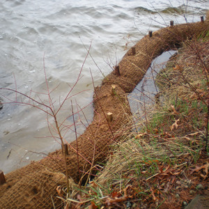 Bûche de coco bon marché pour le contrôle de l'érosion des terres meilleure qualité écologs géotextile bûches en fibre de coco naturelle - Product Image 2