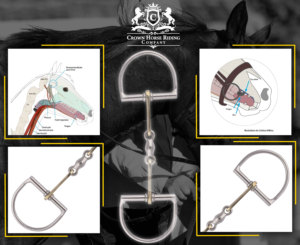 Bocado de Oreja Completa para Caballo, de Cobre y Acero Inoxidable, Cómodo, con Diseño de Carreras, para Equitación, con Logotipo Personalizado - Product Image 3
