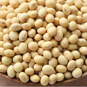 ถั่วลิสงอบรสเผ็ดกระเทียมจากโรงงานโดยตรง รับผลิตแบบ OEM ODM ขายส่งจำนวนมากสำหรับผู้ซื้อทั่วโลก - Product Image 4