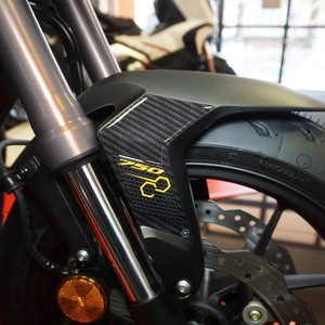 Adesivo Protettivo 3D per Parafango Moto Compatibile con Honda Hornet 2023-2024, Adesivo per Serbatoio - Product Image 1