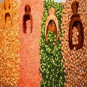 Lentilles jaunes fendues de qualité alimentaire (Moong Dal) prêtes à l'exportation au prix de gros - Product Image 3