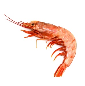 Camarones Rojos Argentinos Congelados de Alta Calidad para Exportación, Proveedor de Mariscos Frescos de Gran Tamaño Directo de Argentina - Product Image 1
