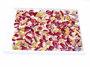 Mookaite Natural de alta calidad, jaspe, cabujón de piedras preciosas sueltas, mezcla de piedras preciosas, forma y tamaño, piedra preciosa de jaspe para la fabricación de joyas - Product Image 2