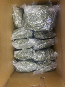 BEST SELLER Feuilles de papaye séchées coupées, utilisées pour la production de boissons et les besoins quotidiens de brassage, avec une offre stable du Vietnam - Product Image 3