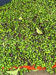 Alale Anale Karaka Premium Produit agricole - Product Image 5