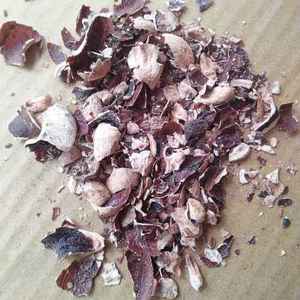 PELLETS DE CÁSCARA DE ANACARDOS para CURTIDO DE VIETNAM 3MM + FÁBRICA GIA NGUYEN 12 MESES DE VIDA ÚTIL - Product Image 6