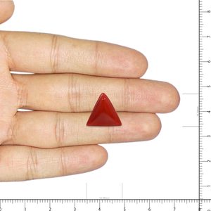 ลูกปัดเปลือกหอยปะการังสีแดง 7.63 กะรัต - Product Image 3