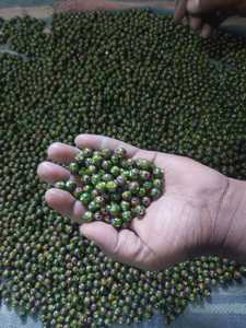 Millefiori ลูกปัดแก้วทรงดอกไม้ทำจากแก้วสีเขียวสั่งผลิตได้ตามต้องการยี่ห้อ Conifer คริสตัลสำหรับนักออกแบบเครื่องประดับแอฟริกันพื้นเมือง - Product Image 2