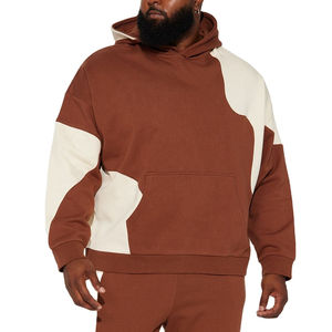 Venta al por mayor OEM Hombres 100% Algodón 500gsm Oversized Pullover Hoodie Custom Logo Puff Print Plus Size Winter Hoodie - Product Image 2