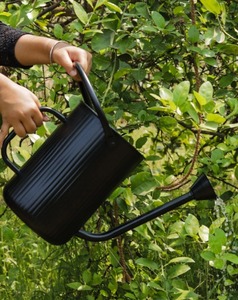 Regadera de Caña Negra para Plantas, Regadera Galvanizada Decorativa y Jarra para Accesorios de Jardín y Hogar - Product Image 1