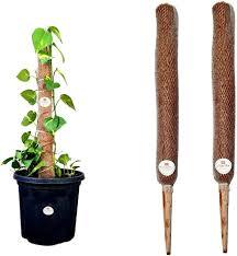 BulkCoco Bâtons de mousse de coco en vrac pour l'agriculture - Product Image 5