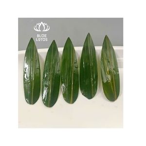 ชาใบไผ่สีเขียวแบบแห้งธรรมชาติชาสมุนไพรดอกบัวสีน้ำเงินเวียดนาม - Product Image 1