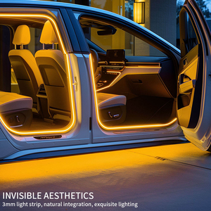 RAMATES Bande LED flexible ultra-étroite de 3 mm Mini FCob 12V 24V Bande lumineuse LED 3000K 5W Bande lumineuse LED OEM ODM 480leds UL ETL DIY - Product Image 4