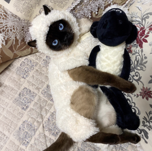 ชุดสัตว์เลี้ยงลายเรขาคณิตสไตล์แกะน่ารัก ผ้าฟลีซสองชั้น อุ่นสบาย ระบายอากาศได้ดี สไตล์ตะวันตก สำหรับฤดูหนาว - Product Image 2