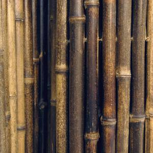 Rouleaux de clôture de patio extérieur clôtures en bambou mur de clôture de jardin en bois de roseau naturel du Vietnam pour la vente en gros - Product Image 5