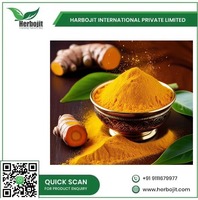 Poudre de curcuma naturelle pure à 95 %, épice unique pour la cuisine, jaune d'Inde, durée de conservation 12 mois, Herbojit, vente chaude